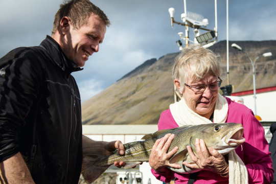 Западные фьорды Исландии